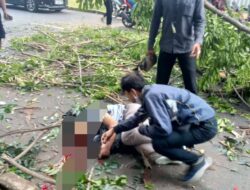 Pohon Tumbang Mengakibatkan Jatuh Korban